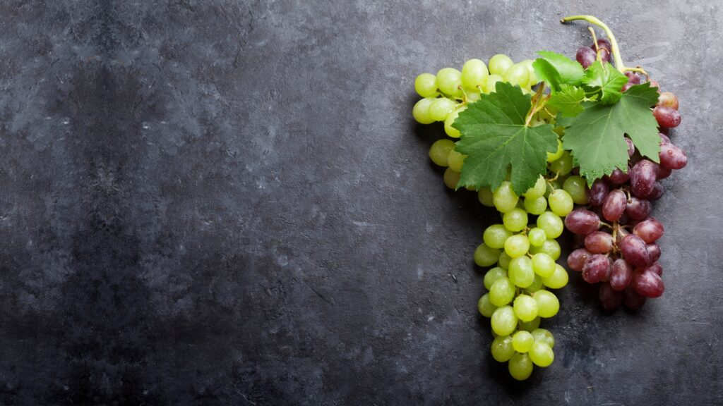 Vinogradar i vinar